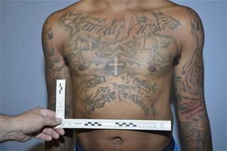 So Proud of His Cheque Fraud He Tattooed it on His Elbow